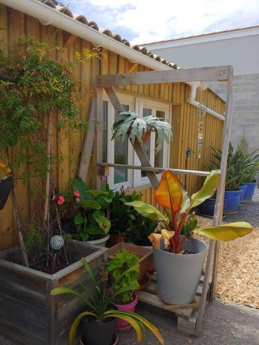 Studio Cocooning Le Porge Exteriör bild